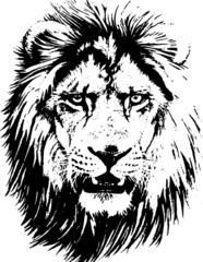 Hand drawn wild animal. Lion. Vector isolated on a transparent background © Anastasiya