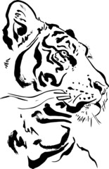 Hand drawn wild animal. Tiger. Vector isolated on a transparent background