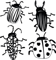 colorado potato beetle, bugs.
