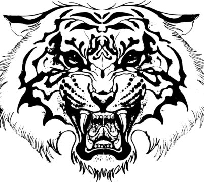 Hand drawn wild animal. Tiger. Vector isolated on a transparent background