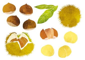 いろんな栗のベクターイラスト（水彩）
