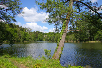 A circular hiking trail around the Amts lake in UNESCO-Biosphere reserve Schorfheide-Chorin (on Chorin monastery), in federal state Brandenburg - Germany