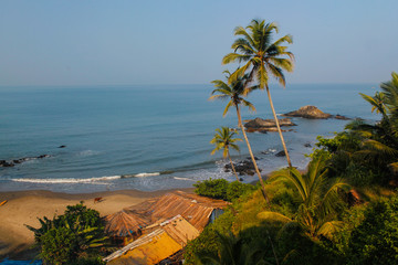 beach with palm trees and sea