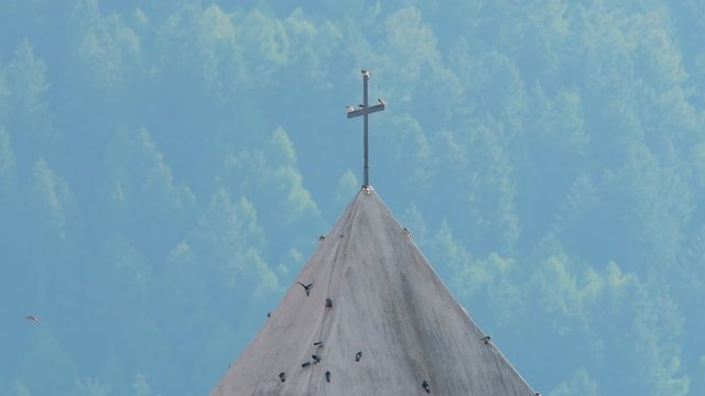 Common house martins resting on the bell tower of Laas