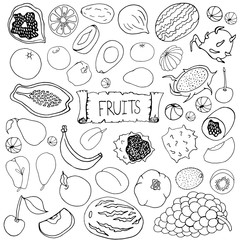 Set with fruit. Apples, pears, cherries, apricots, watermelons, melons, kiwi, grapes, pomegranates, currants on a white background. Vector isolated illustration with tropical fruits. Doodle style.