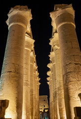 Hieroglyphic carvings on ancient egyptian temple columns at night