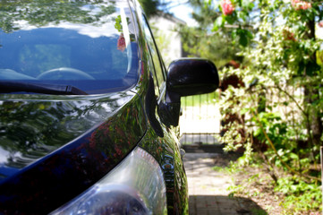 A man washes care and polishes a black car