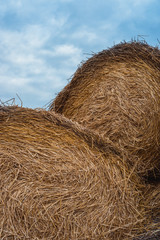 Hay close-up. Haystacks on the background of blue sky.