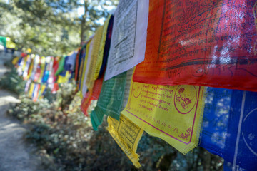 Buddhist prayer flags blowing in the wind