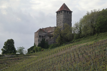The Castle Lichtenberg in Oberstenfeld, Baden-W&uuml;rttemberg, Germany, Europe
