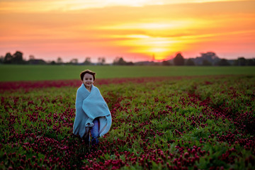 Fototapeta na wymiar Beautiful children, brothers in gorgeous crimson clover field on sunset,