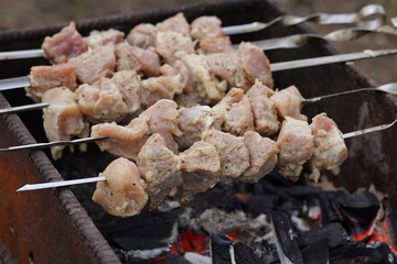 Close up of raw shashlik on skewers. Succulent barbecue roasting on chargrill. Concept of picnic outdoor.