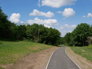 Weg im Südpark Dresden
