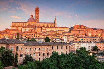 Fototapeta na wymiar Siena. Aerial cityscape image of medieval city of Siena, Italy during sunset. 