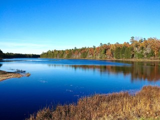 Scenic view of Batsto Lake in Batsto village, New Jersey in autumn