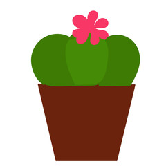 vector, isolated, flat style cactus with flower in a pot on a white background