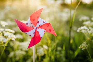 Kommunion, Konfirmation, Firmung, Taufe, Glaube - Windmühle in Wiese mit weißen Blüten