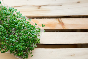 Fresh broccoli micro green on wooden background, top view. Healthy food, wholesome food, vegetarian food. Soft focus.
