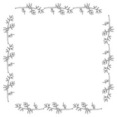 Square frame with branches on white background. Vector image.