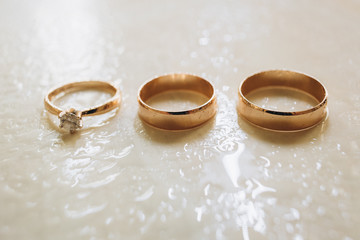 Obraz na płótnie Canvas wedding rings in drops of water