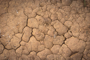 Nature background of cracked dry lands. Natural texture of soil with cracks. Broken clay surface of barren dryland wasteland close-up. 