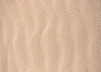Fototapeta na wymiar texture of sand background