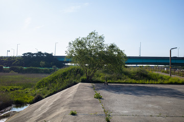 concrete embankment and surrounding meadow.