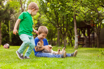 Naklejka na ściany i meble Brothers play in the yard with your favorite dog