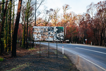 Lake Mountain after Black Saturday Fires in Australia