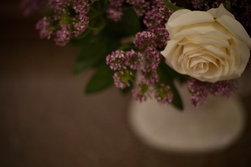 Blurred dark background image with artificial colors, right with a focus on the light rose.
