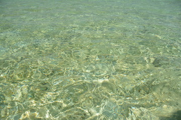 Obraz premium Transparent blue water in the ocean. Maldives.