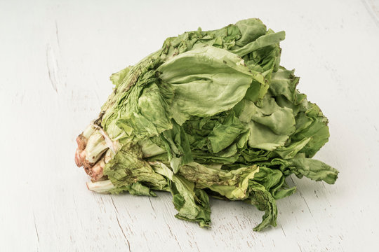 unhealthy bunch of lettuce getting rotten on table
