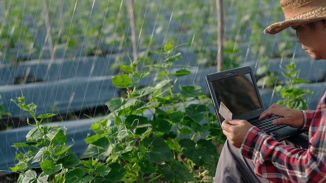 The farmers use the notebook to order agricultural equipment online by paying via credit card. Technology and communication