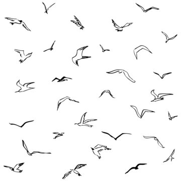Pattern with seagulls. Simple elegant design for fabric, wallpapers and other prints. Beautiful background for your design