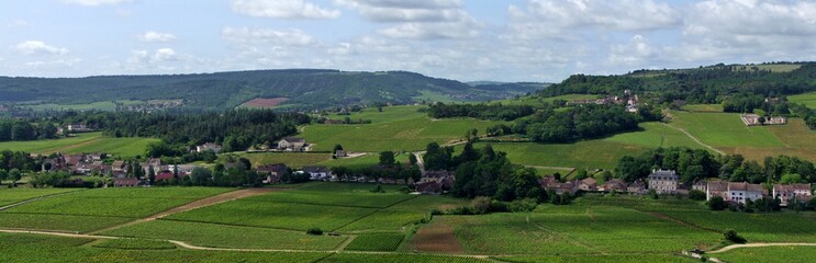 Fototapeta na wymiar Panorama du village de Mercurey en Bourgogne.