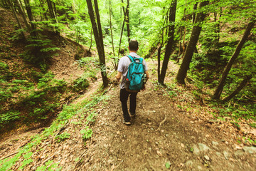 Obraz premium Man With Backpack Walking In Spring Forest, Adventure, Nature, Explore