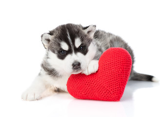 A black and white husky puppy is lying and looking at the camera, leaning on a big red plush heart. Isolated on a white background