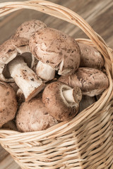 edible raw mushrooms in a basket on a wooden table