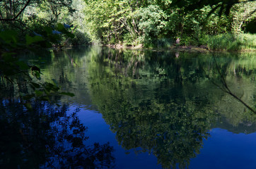 Italy, the splendid deep green waters of the Livenza river