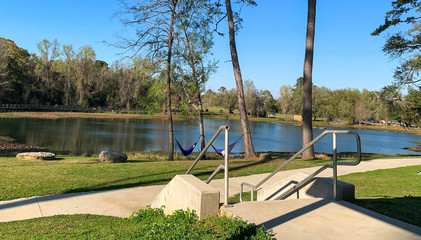 lake in the park