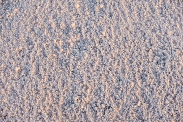 The surface of a pink salt lake covered with salt at sunset. Lovely soft pink texture. Close Up.