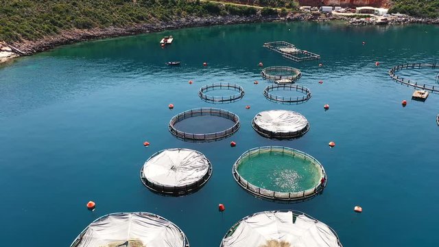 Sea fish farm at Greece Peloponesse, Feed fish footage