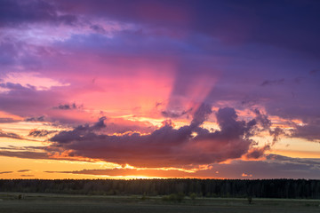 pink sunset over the field