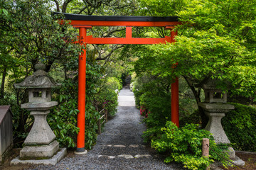 Torii Gate by Kyoyochi Pond, Ryoanji, Kyoto, Japan