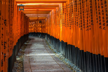 Torii at Fushimi Inari Taisha Shrine, Kyoto, Japan