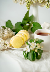 Yellow macaroon cookies among white flowers of lilac and green leaves. Food photography. Advertising and commercial close up design.