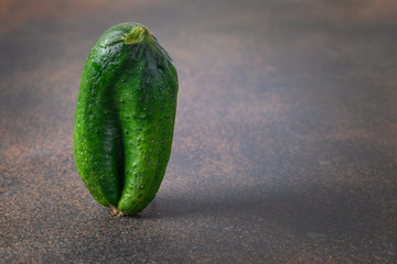 Ugly funny cucumber on brown. Concept organic vegetables. Copy space.