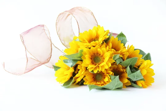 ヒマワリの花束と茶色のリボン Stock Photo Adobe Stock ヒマワリの花束と茶色のリボン Stock Photo Adobe Stock
