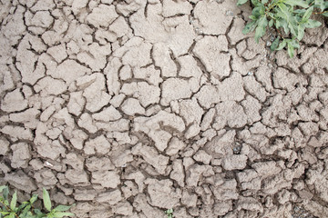 Cracked earth soil ground texture background. Mosaic pattern of dried mud clay earth and sand, top view. The concept of soil erosion climate change and sudden changes in air temperature.