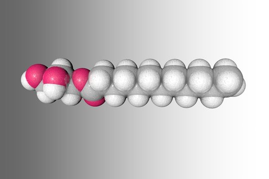 Molecular structure of monolaurin. Atoms are represented as spheres with conventional color coding: carbon (grey), oxygen (red), hydrogen (white). 3d illustration